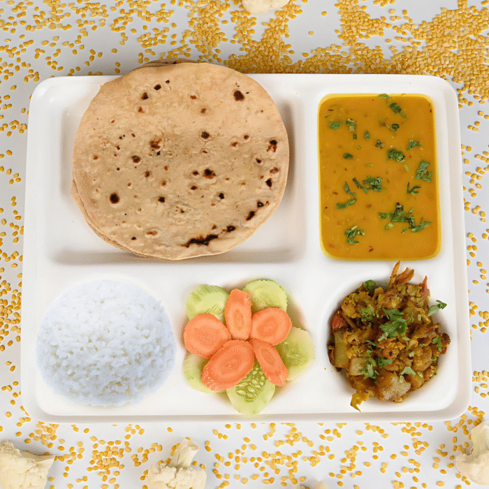 MINI THALI REGULAR